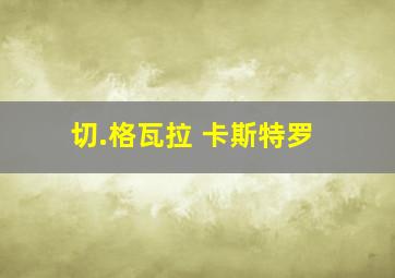 切.格瓦拉 卡斯特罗